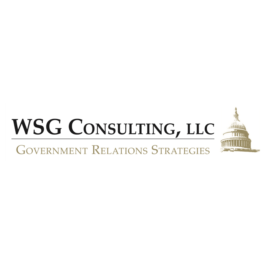 WSG Consultants